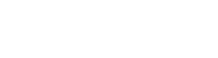 Initial Capital